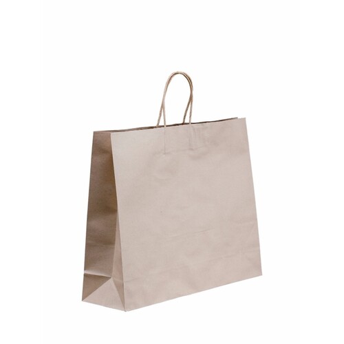 Paper Carry Bag Twist Handle Boutique Kraft