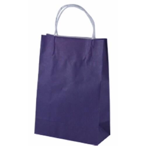 Paper Carry Bag Junior Passion Purple