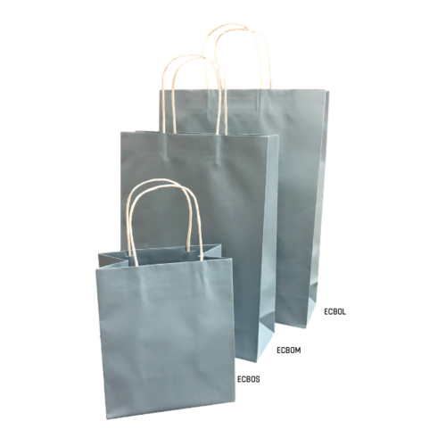 Paper Carry Bag Large French Blue