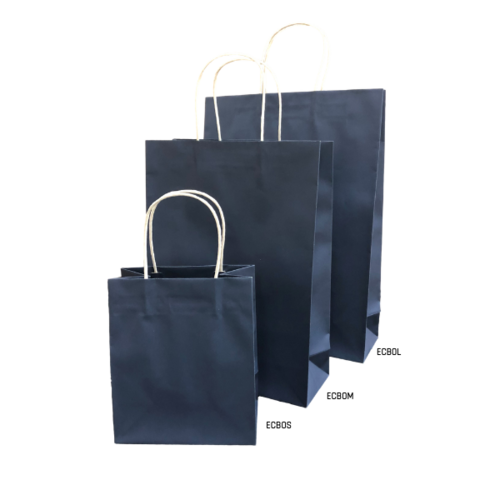 Paper Carry Bag Large Navy