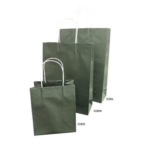 Paper Carry Bag Medium Earth Green